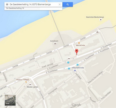 Google Map